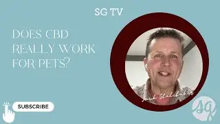 CBD for Pets Explained | How CBD Helps Dogs & Cats Naturally
