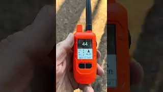 Как выглядит отслеживание на Dogtra Compass #gundogsupply #dogtrapathfinder #dogtracompass