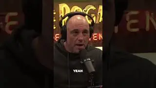 IS PLASTIC MAKING YOU BI? W/ Joe Rogan and Theo Von