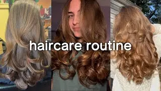 my hair care routine for thick, healthy hair