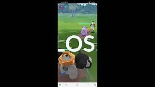 Ham'se nicht gemacht CREW  Pokemon Go  Kampfliga;)