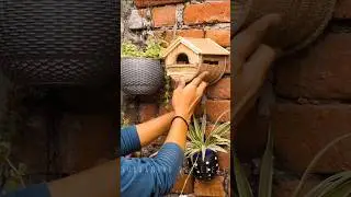 how to make bird house #birdhouse #birdnest #diy #craft #shorts