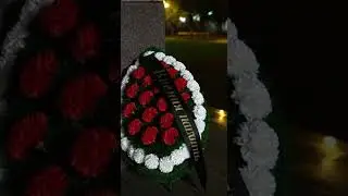 За это грозит срок! Жуткий поступок в Калининграде.