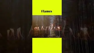 🔥 ☀️ Is fire and light substance? #shortvideo #virallist #viral #facts #viralvideo