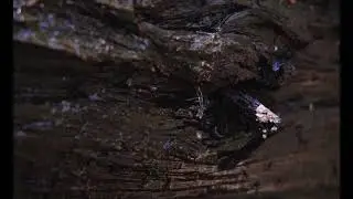 10 Min of Cave Dripping Water Ambience ⛰️ | Water Drips for Sleep & Relaxation