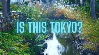 Real Tokyo Life: Walking in Edogawa | Ichinoe Sakaigawa Green Path (Part 1)