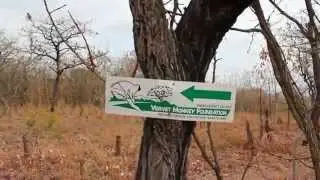 Volunteer at The Vervet Monkey Foundation - South Africa - Part Three
