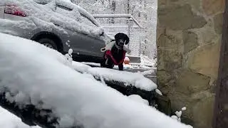Margot's Snow Adventure