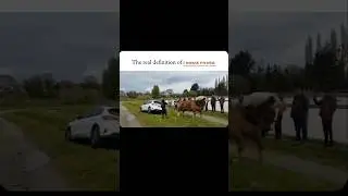 || 1 Horse power....                                                                         #shorts