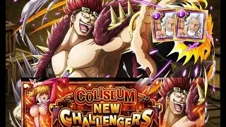 [OPTC] Chaos Coliseum: Kid 30 Stamina - (3:32) Double Rayleigh