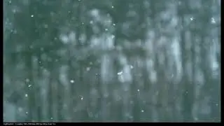 Snowflakes falling at 1500 frames per second at 22 F degrees