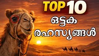 ഒട്ടകം: നിങ്ങൾ അറിയാത്ത 10 സത്യങ്ങൾ  Top 10 Secrets of Camels