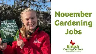 November Gardening Jobs