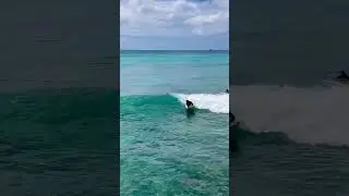 Boogie Boarding at Kapiolani Beach #boogieboard #boogieboarding #bodysurfing #surfing