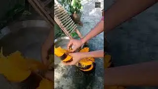 How to extract the pulp of palm fruit... #shorts #palm #tool #fruit