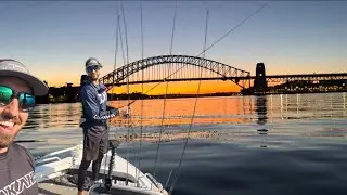 Рыбалка в Сиднейской гавани с The Finesse Angler | Миссия по ловле королевской макрели &rarr; Сессия п...