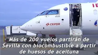 200 vuelos desde Sevilla con biocombustible a partir de huesos de aceituna