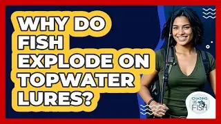 Why Do Fish Explode On Topwater Lures? - Chasing Big Fish