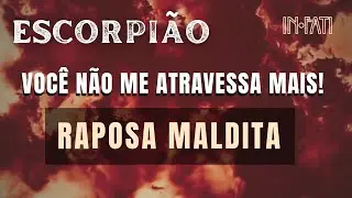 🔎 ESCORPIÃO | VOCÊ NÃO ME ATRAVESSA MAIS! RAPOSA MALDITA!
