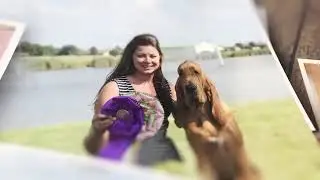 Masters Agility Championship Finals | Westminster Kennel Club 2026