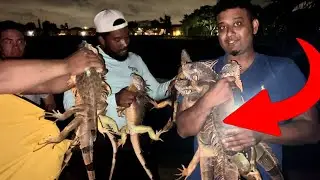 Log 8 -  My El Salvadorans Amigos Know How to Catch iguanas!￼ 10 iguanas in 10 Minutes!!(CRAZY)