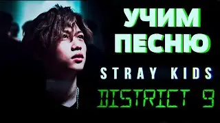 Учим песню Stray Kids - 
