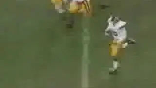 reggie bush college highlights