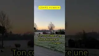 D&eacute;couvre la force cach&eacute;e de ton corps !