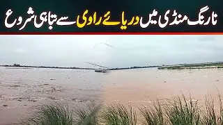 Narang Mandi Flood - Ravi River Devastation Begins in Narang Mandi - Floods Wipe Out Areas