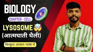 Lysosome structure and function in Hindi | Sucidal bags 🤯 | Cell organelle | Cell biology | Neet ||