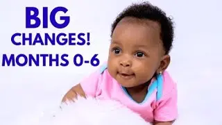 The FIRST 6 MONTHS: A Baby's Incredible Journey