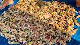Prawns￼🍤 Fish Cutting￼ In Digha Mohona Market | prawn cutting|￼ Fish cutting in Market |RRRM￼