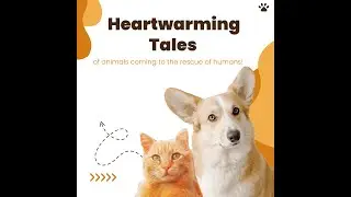 Unbelievable Stories of animals coming to the rescue of humans