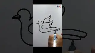 How to Draw Dove || Pigeon Drawing || Peace Dove Drawing || Pigeon Drawing Step by Step.