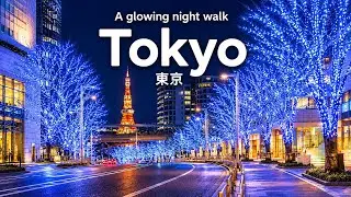 Tokyo Tower Winter Illuminations Night Walk