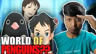 Penguin Highway ANIME IN HINDI review | A world of mysterious penguins | Clanimex