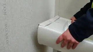 Двусторонняя мегалента