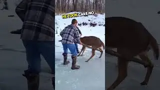 Этот олень потерял всякую надежду, пока они не появились 🥺