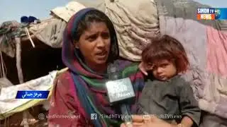 Chuhar Jamali 17 day Lock Down - Sots - Sindh TV News