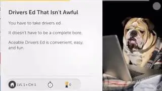 Texas Instructor Taught Drivers Ed From Aceable
