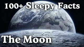 The Most Relaxing Facts about The Moon to Fall Asleep to