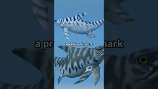Australia&rsquo;s Prehistoric Marine Life!  #adventure #australia #prehistoric #marinelife