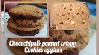 EP-14|choco chips| peanut cookies with one batter 2 varities| maida|sugar| eggless crispy cookies