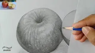 Pencil drawing.how to draw a apple.lesson 12