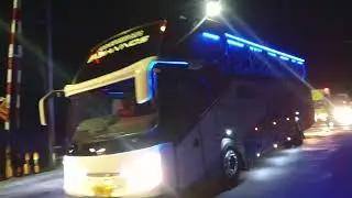 Bus dmh trans 