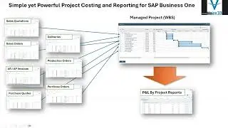 SAP Business One Project Management Detailed Overview