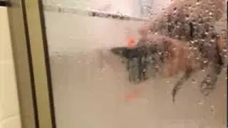 Kitsy's First Shower