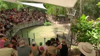 Ep 3 Mossman Gorge And Hartley's Croc Adventures 2024