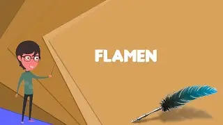 What is Flamen? Explain Flamen, Define Flamen, Meaning of Flamen
