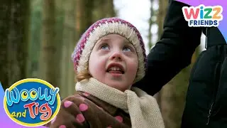 @WoollyandTigOfficial  - Quiet Walk in the Snow ❄️🌲 | Short | @WizzFriends